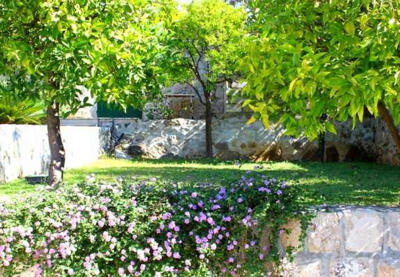 Ferienwohnung in Cavtat - Ferienwohnung in Cavtat mit Meerblick, Terrasse, Klimaanlage, W-LAN (3612-2)