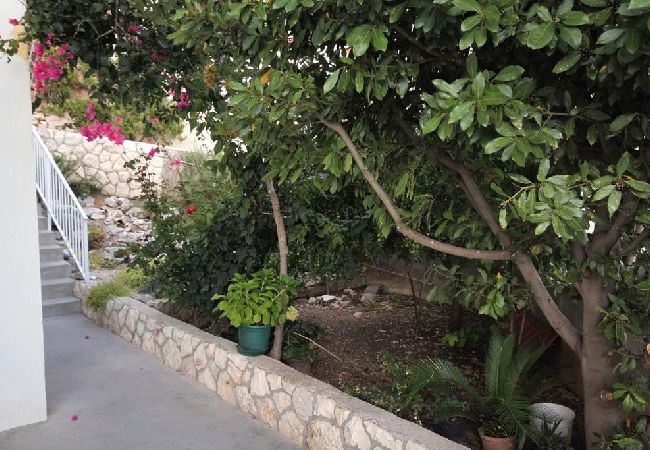 Ferienwohnung in Hvar - Ferienwohnung in Hvar-Stadt mit Meerblick, Balkon, Klimaanlage, W-LAN (3615-1) Ferienwohnung in Hvar - Ferienwohnung in Hvar-Stadt mit Meerblick, Balkon, Klimaanlage, W-LAN (3615-1)