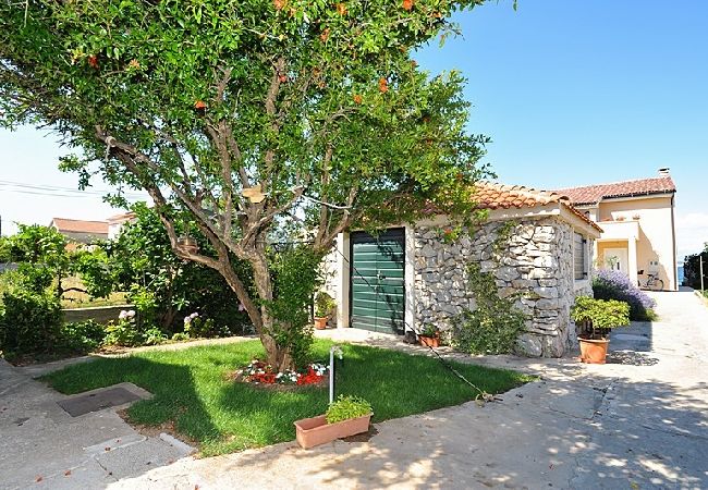 Ferienwohnung in Poljana - Ferienwohnung in Poljana mit Meerblick, Terrasse, Klimaanlage, W-LAN (3617-1) Ferienwohnung in Poljana - Ferienwohnung in Poljana mit Meerblick, Terrasse, Klimaanlage, W-LAN (3617-1)