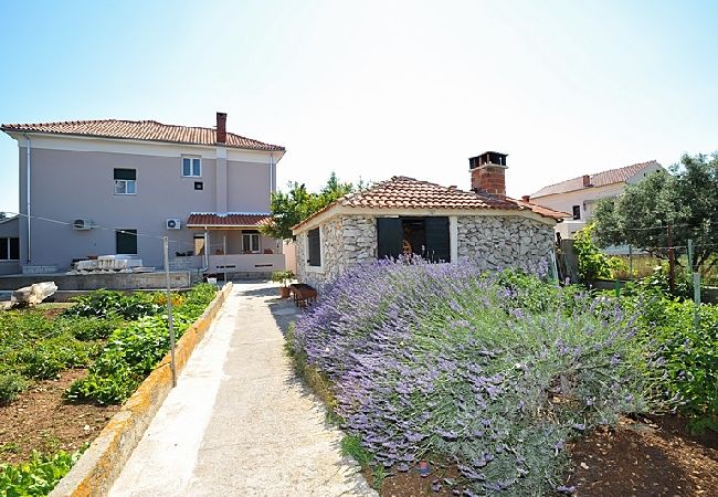 Ferienwohnung in Poljana - Ferienwohnung in Poljana mit Meerblick, Terrasse, Klimaanlage, W-LAN (3617-1) Ferienwohnung in Poljana - Ferienwohnung in Poljana mit Meerblick, Terrasse, Klimaanlage, W-LAN (3617-1)