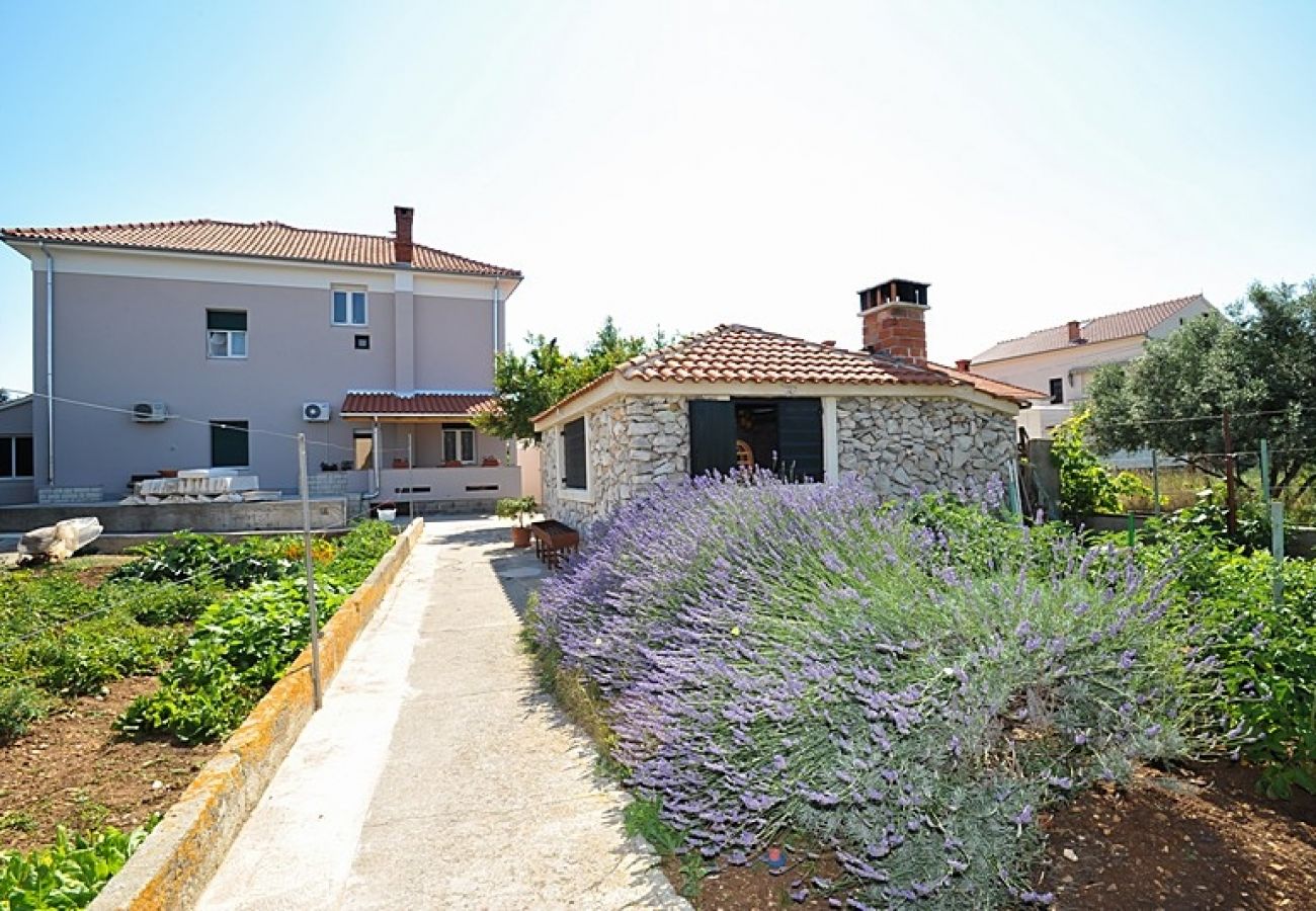 Ferienwohnung in Poljana - Ferienwohnung in Poljana mit Meerblick, Terrasse, Klimaanlage, W-LAN (3617-1)