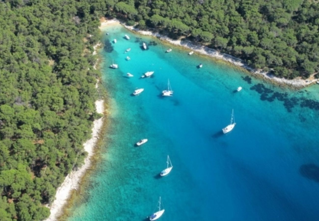 Ferienwohnung in Mali Lošinj - Ferienwohnung in Mali Lošinj mit Meerblick, Balkon, Klimaanlage, W-LAN (3622-1)