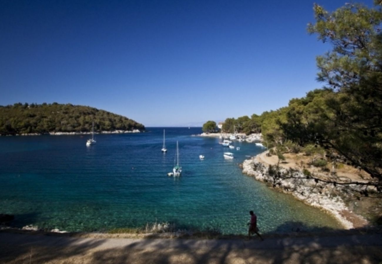 Ferienwohnung in Mali Lošinj - Ferienwohnung in Mali Lošinj mit Meerblick, Balkon, Klimaanlage, W-LAN (3622-1)