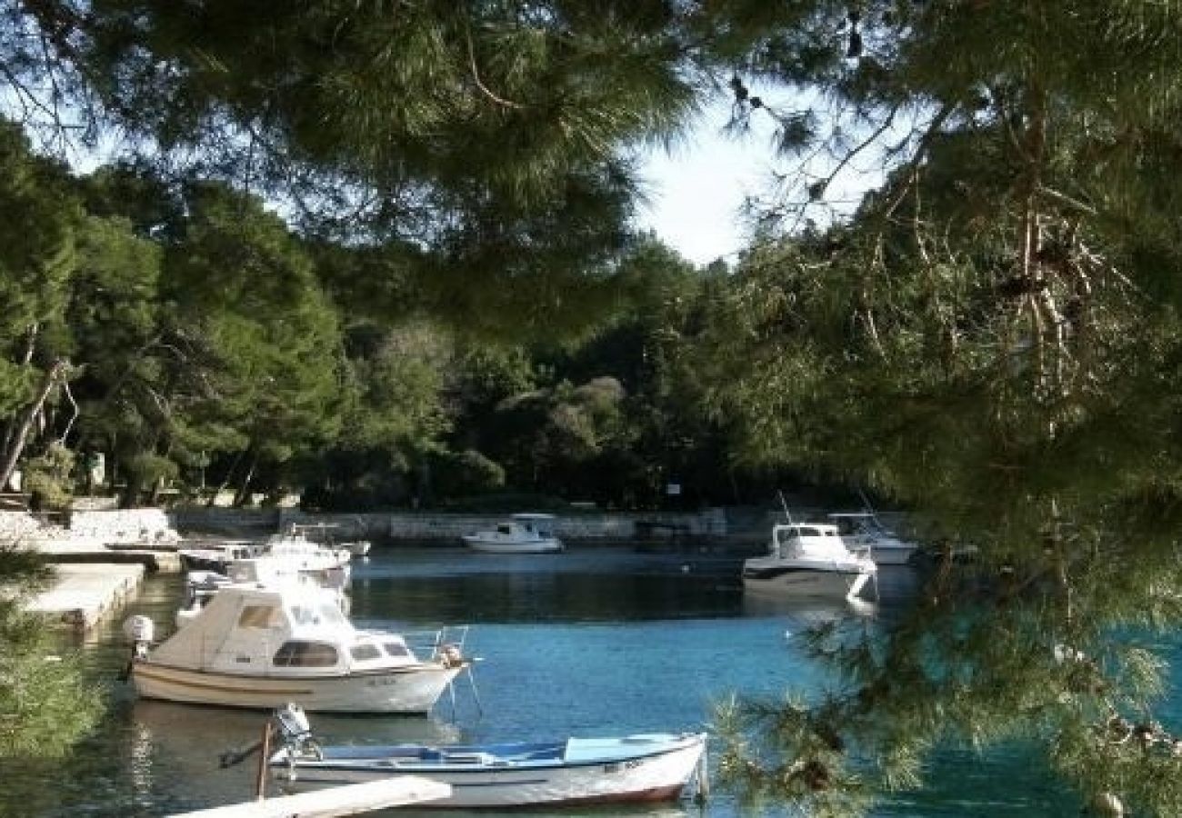 Ferienwohnung in Mali Lošinj - Ferienwohnung in Mali Lošinj mit Meerblick, Balkon, Klimaanlage, W-LAN (3622-1)