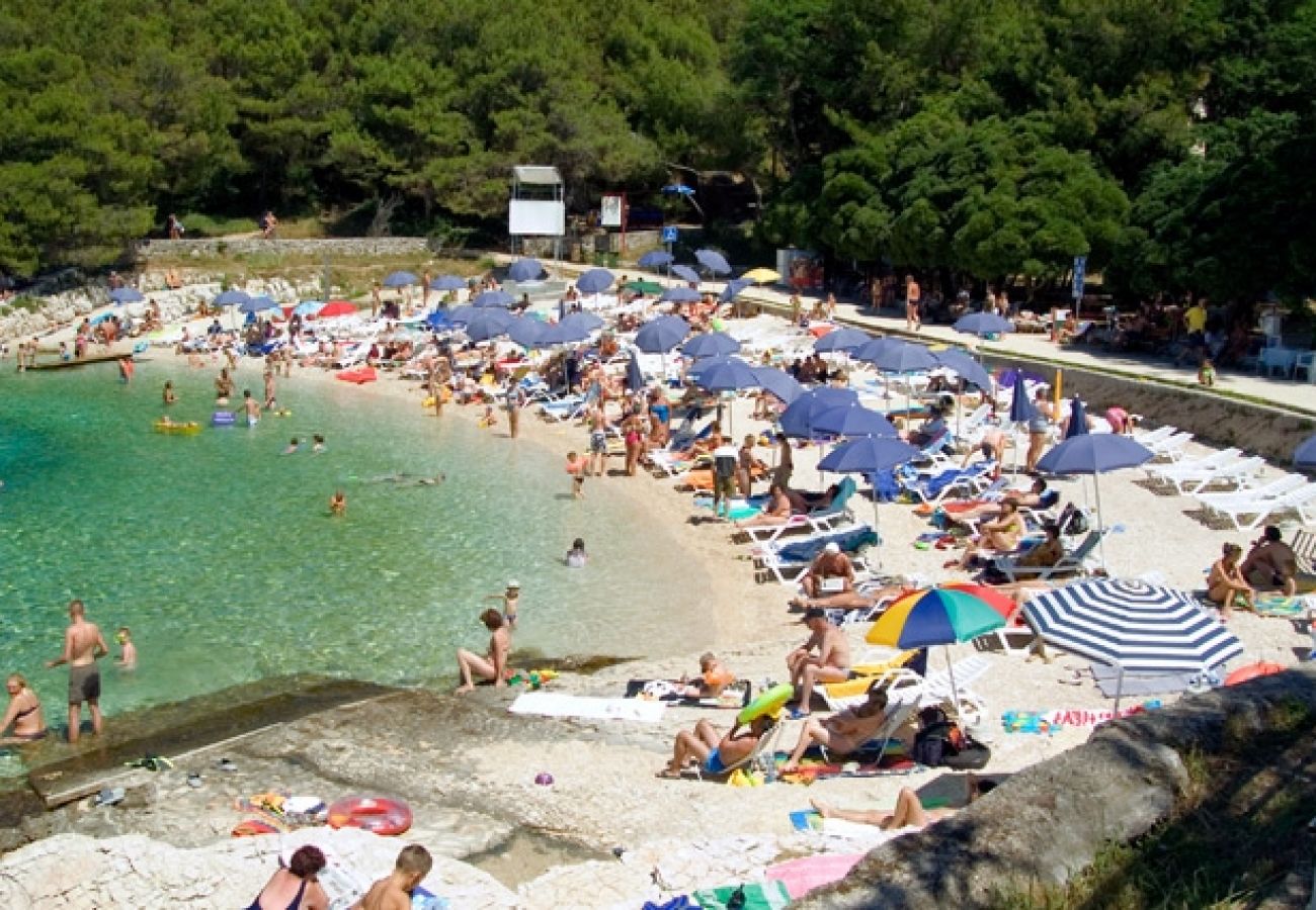 Ferienwohnung in Mali Lošinj - Ferienwohnung in Mali Lošinj mit Meerblick, Balkon, Klimaanlage, W-LAN (3622-1)