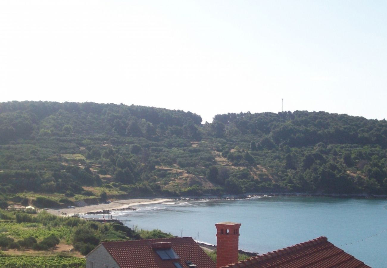 Ferienwohnung in Lumbarda - Ferienwohnung in Lumbarda mit Meerblick, Terrasse, Klimaanlage, W-LAN (3632-2)