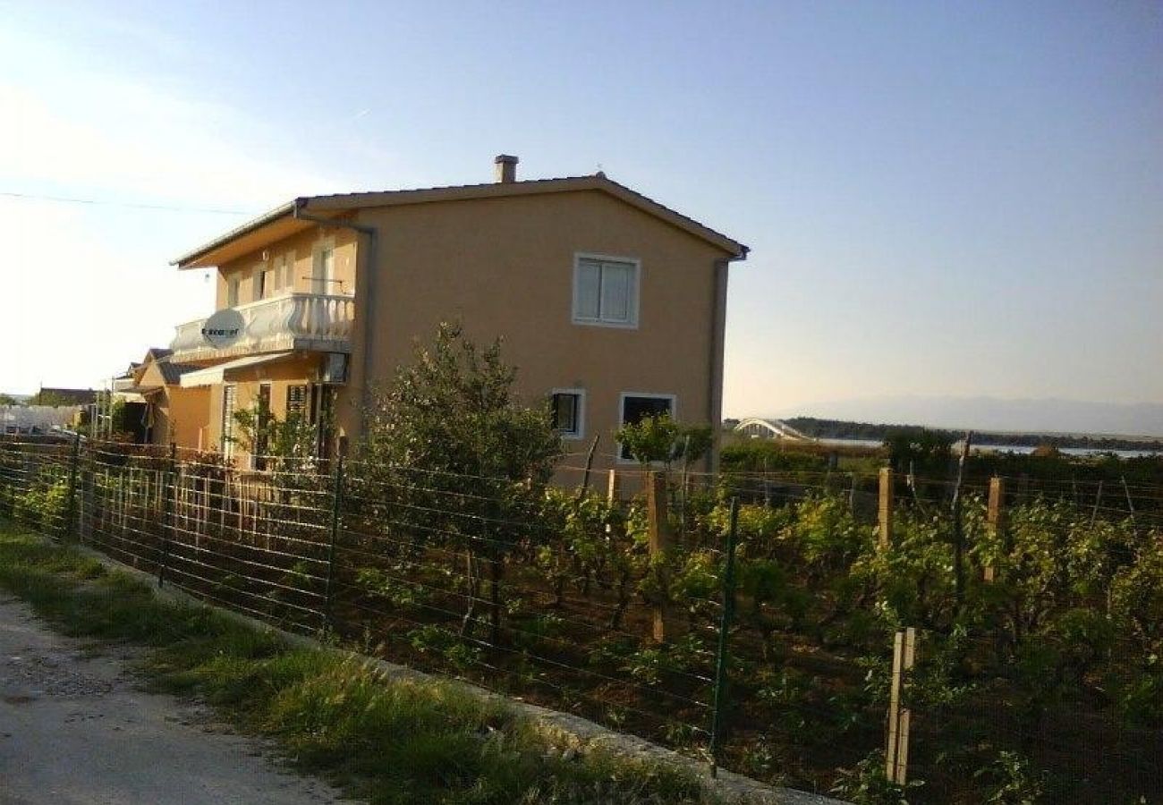 Ferienwohnung in Privlaka - Ferienwohnung in Privlaka mit Meerblick, Balkon, Klimaanlage, W-LAN (667-1)