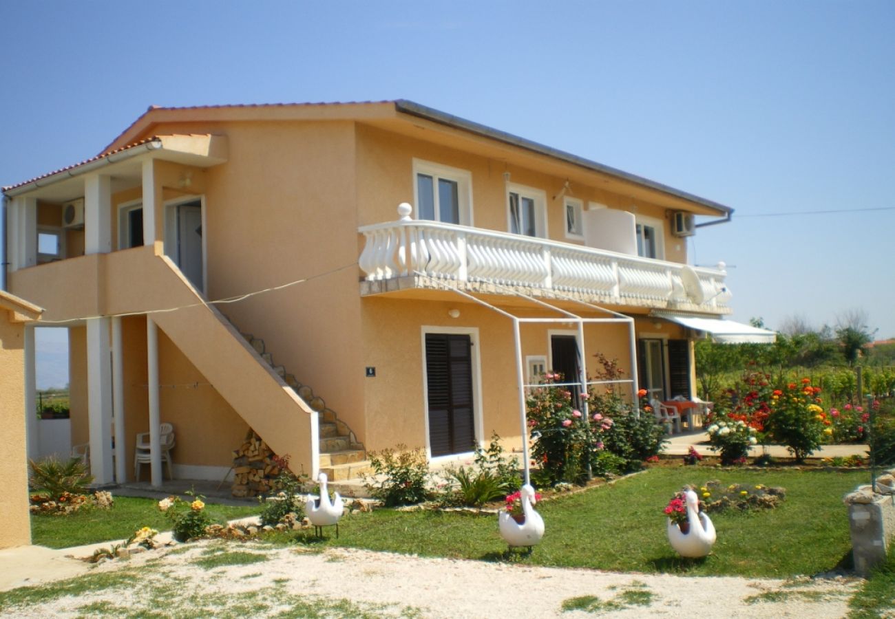 Ferienwohnung in Privlaka - Ferienwohnung in Privlaka mit Meerblick, Balkon, Klimaanlage, W-LAN (667-1)