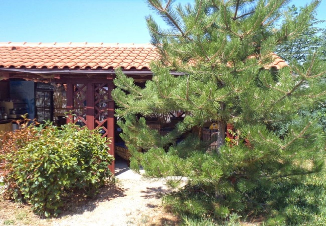 Ferienwohnung in Rab - Ferienwohnung in Barbat mit Terrasse, Klimaanlage, W-LAN (3664-1)