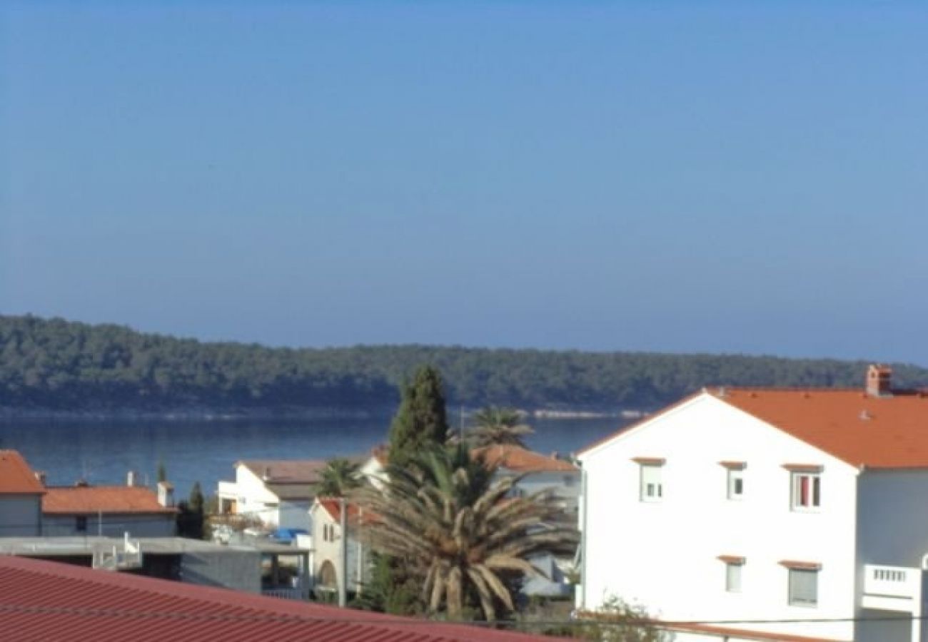 Ferienwohnung in Rab - Ferienwohnung in Barbat mit Meerblick, Balkon, Klimaanlage, W-LAN (3664-2)