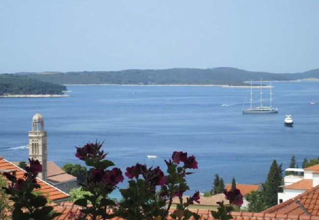 Ferienwohnung in Hvar - Ferienwohnung in Hvar-Stadt mit Meerblick, Terrasse, Klimaanlage, W-LAN (3666-2) Ferienwohnung in Hvar - Ferienwohnung in Hvar-Stadt mit Meerblick, Terrasse, Klimaanlage, W-LAN (3666-2)