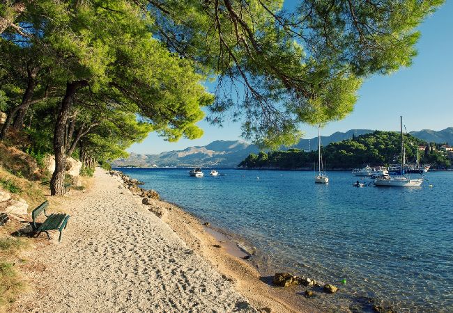 Zimmeranmietung in Cavtat - Zimmer in Cavtat mit Meerblick, Balkon, Klimaanlage, W-LAN (3686-1) Zimmeranmietung in Cavtat - Zimmer in Cavtat mit Meerblick, Balkon, Klimaanlage, W-LAN (3686-1)