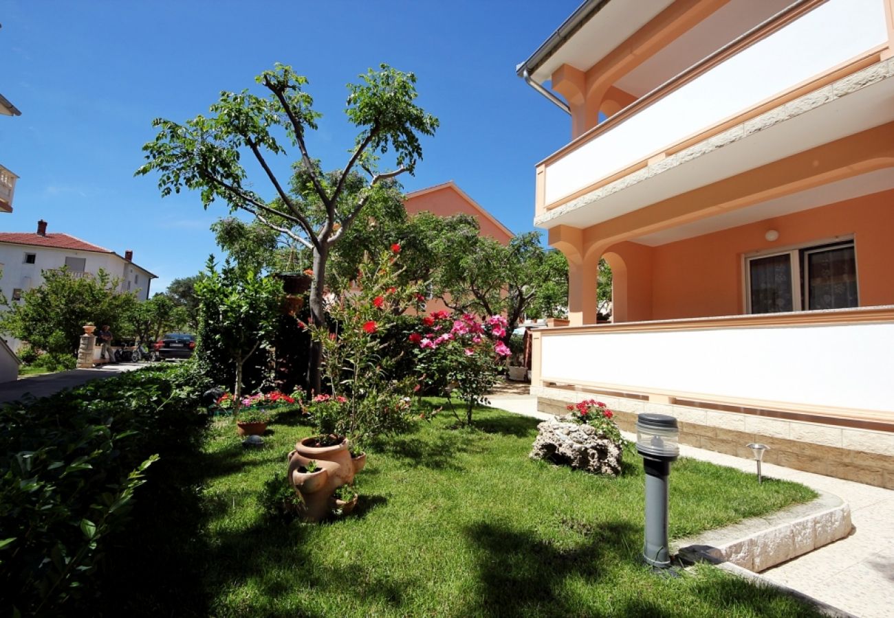 Ferienwohnung in Palit - Ferienwohnung in Palit mit Terrasse, Klimaanlage, W-LAN, Spülmaschine (820-3)