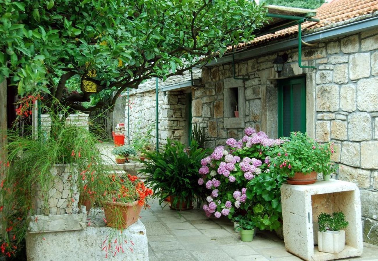 Ferienhaus in Žrnovo - Ferienhaus in Žrnovo mit Terrasse, Klimaanlage, W-LAN (3709-2)