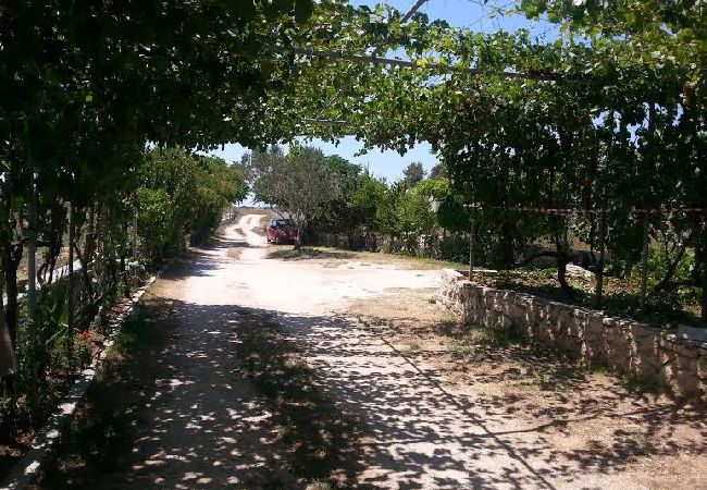 Ferienwohnung in Nin - Ferienwohnung in Nin mit Terrasse, Klimaanlage, W-LAN (3722-1) Ferienwohnung in Nin - Ferienwohnung in Nin mit Terrasse, Klimaanlage, W-LAN (3722-1)