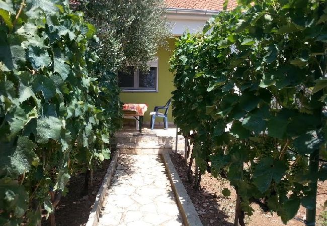 Ferienwohnung in Nin - Ferienwohnung in Nin mit Terrasse, Klimaanlage, W-LAN (3722-1) Ferienwohnung in Nin - Ferienwohnung in Nin mit Terrasse, Klimaanlage, W-LAN (3722-1)