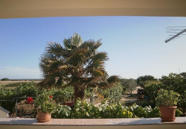 Ferienwohnung in Nin - Ferienwohnung in Nin mit Terrasse, Klimaanlage, W-LAN (3722-1) Ferienwohnung in Nin - Ferienwohnung in Nin mit Terrasse, Klimaanlage, W-LAN (3722-1)