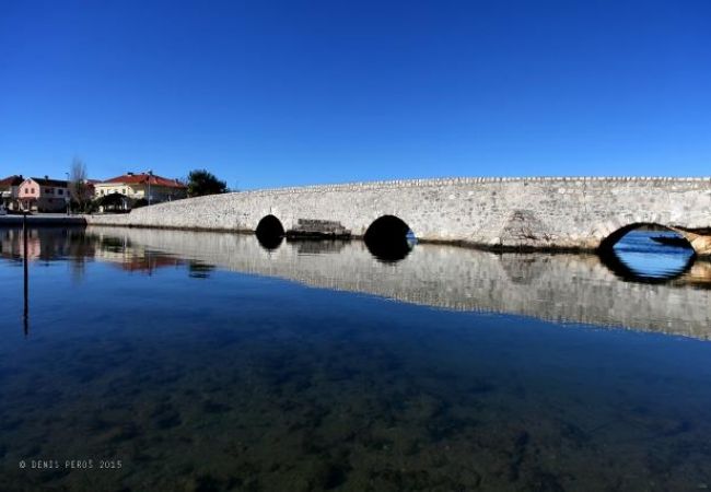Studio in Nin - Studioapartment in Nin mit Terrasse, Klimaanlage, W-LAN (3722-5) Studio in Nin - Studioapartment in Nin mit Terrasse, Klimaanlage, W-LAN (3722-5)
