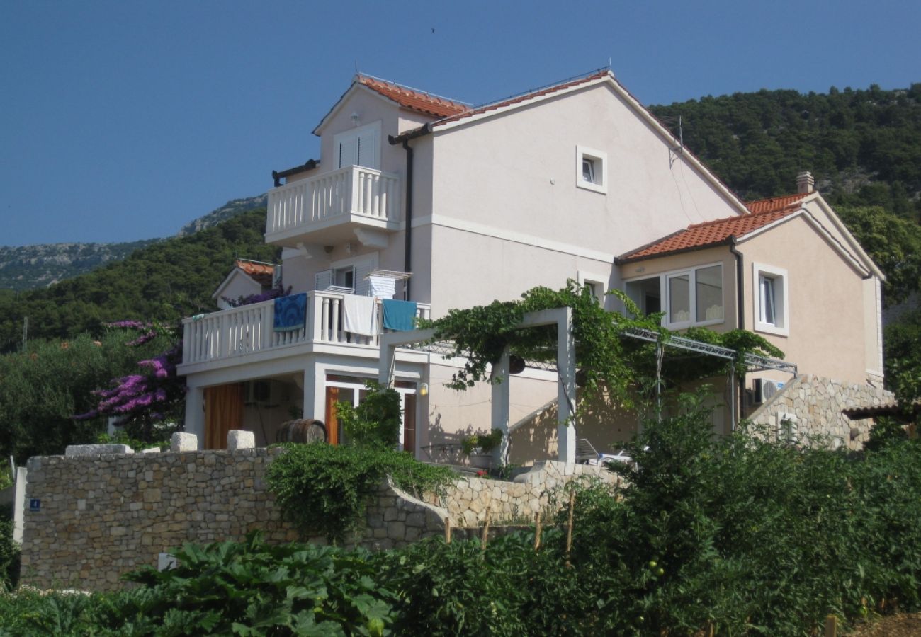 Ferienwohnung in Bol - Ferienwohnung in Bol mit Meerblick, Terrasse, Klimaanlage, W-LAN (3739-1)