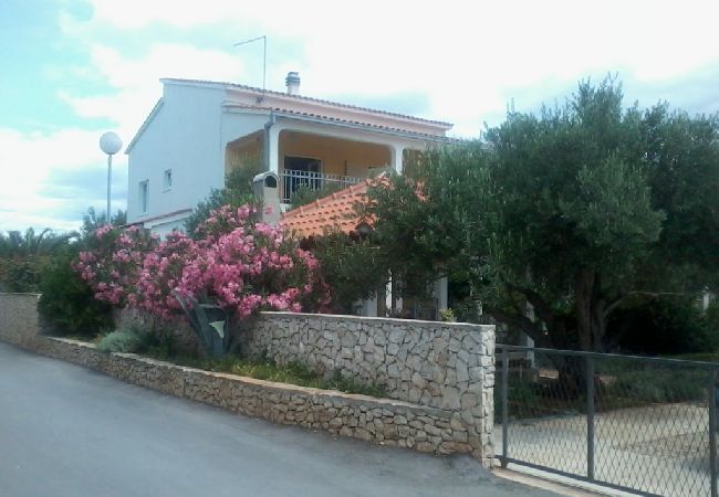 Ferienwohnung in Ražanj - Ferienwohnung in Ražanj mit Meerblick, Terrasse, Klimaanlage, W-LAN (3743-1) Ferienwohnung in Ražanj - Ferienwohnung in Ražanj mit Meerblick, Terrasse, Klimaanlage, W-LAN (3743-1)