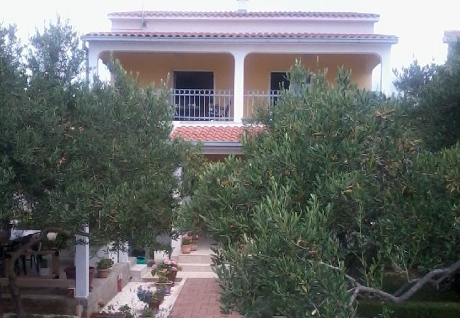 Ferienwohnung in Ražanj - Ferienwohnung in Ražanj mit Meerblick, Terrasse, Klimaanlage, W-LAN (3743-1) Ferienwohnung in Ražanj - Ferienwohnung in Ražanj mit Meerblick, Terrasse, Klimaanlage, W-LAN (3743-1)