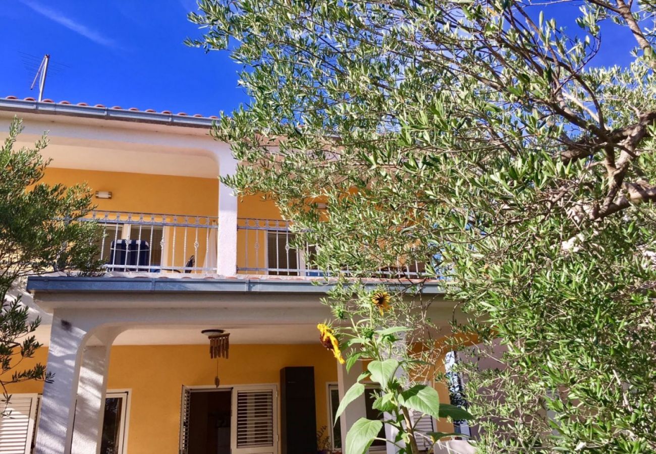 Ferienwohnung in Ražanj - Ferienwohnung in Ražanj mit Meerblick, Terrasse, Klimaanlage, W-LAN (3743-1)