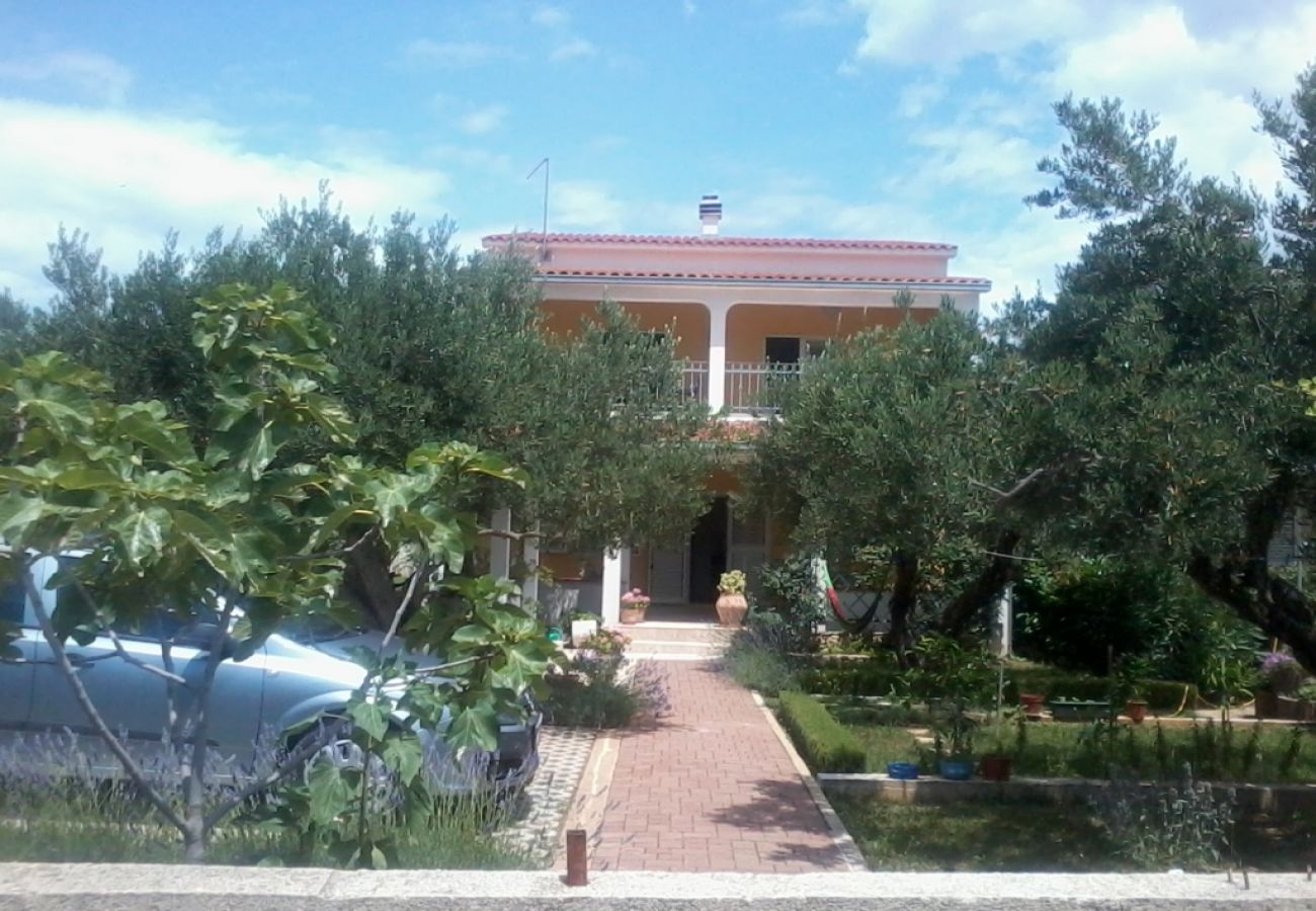 Ferienwohnung in Ražanj - Ferienwohnung in Ražanj mit Meerblick, Terrasse, Klimaanlage, W-LAN (3743-1)