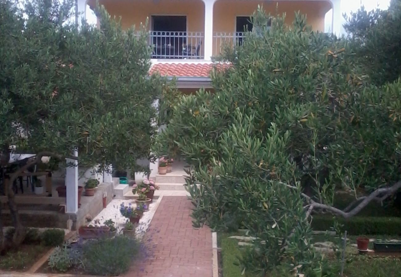 Ferienwohnung in Ražanj - Ferienwohnung in Ražanj mit Meerblick, Terrasse, Klimaanlage, W-LAN (3743-1)