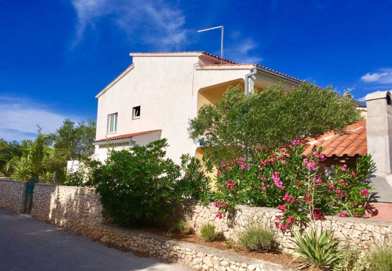 Ferienwohnung in Ražanj - Ferienwohnung in Ražanj mit Meerblick, Terrasse, Klimaanlage, W-LAN (3743-1)