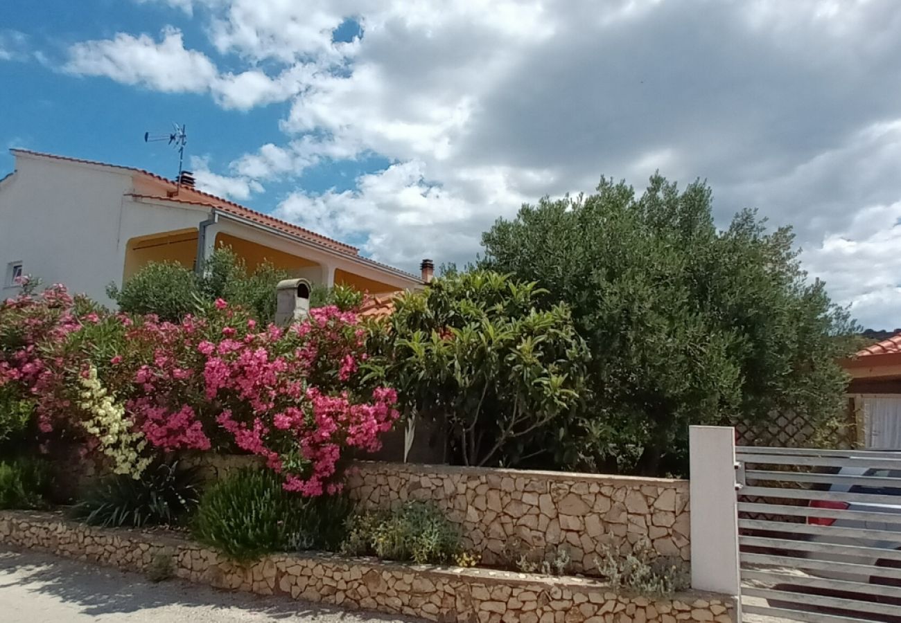 Ferienwohnung in Ražanj - Ferienwohnung in Ražanj mit Terrasse, Klimaanlage, W-LAN, Waschmaschine (3743-3)