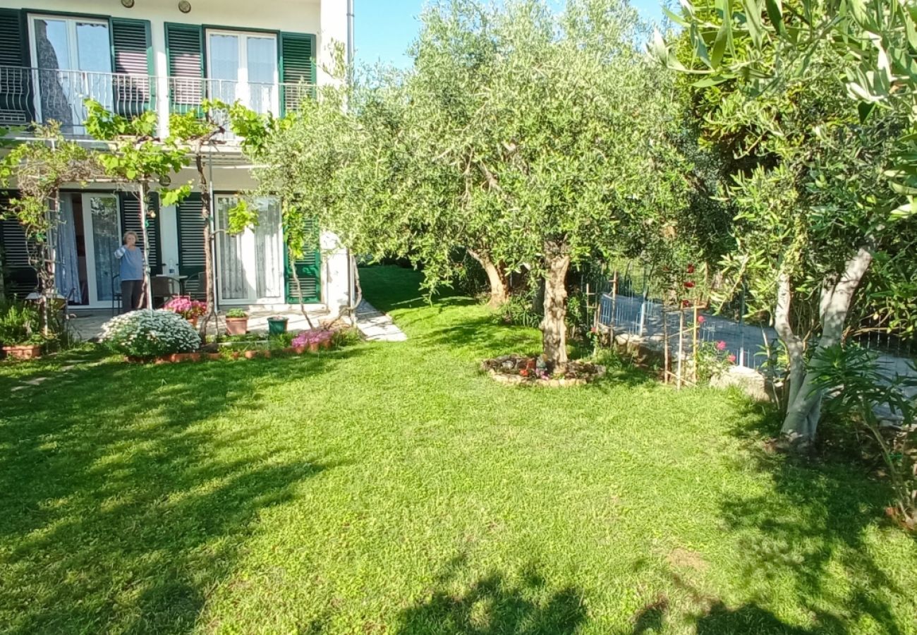 Ferienwohnung in Rab - Ferienwohnung in Rab mit Meerblick, Balkon, W-LAN, Waschmaschine (3728-1)