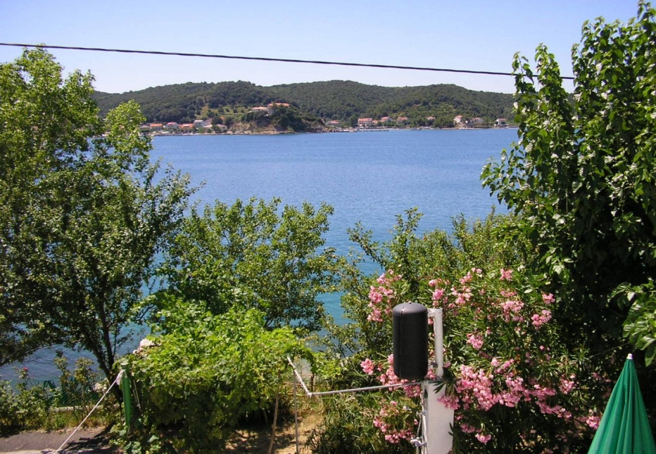 Ferienwohnung in Supetarska Draga - Ferienwohnung in Supetarska Draga mit Meerblick, Terrasse, Klimaanlage, W-LAN (3750-1)