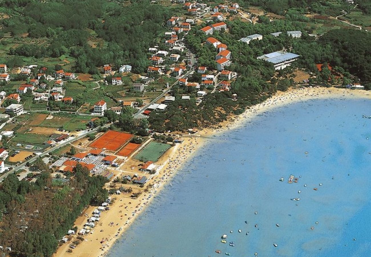 Ferienwohnung in Supetarska Draga - Ferienwohnung in Supetarska Draga mit Meerblick, Terrasse, Klimaanlage, W-LAN (3750-1)