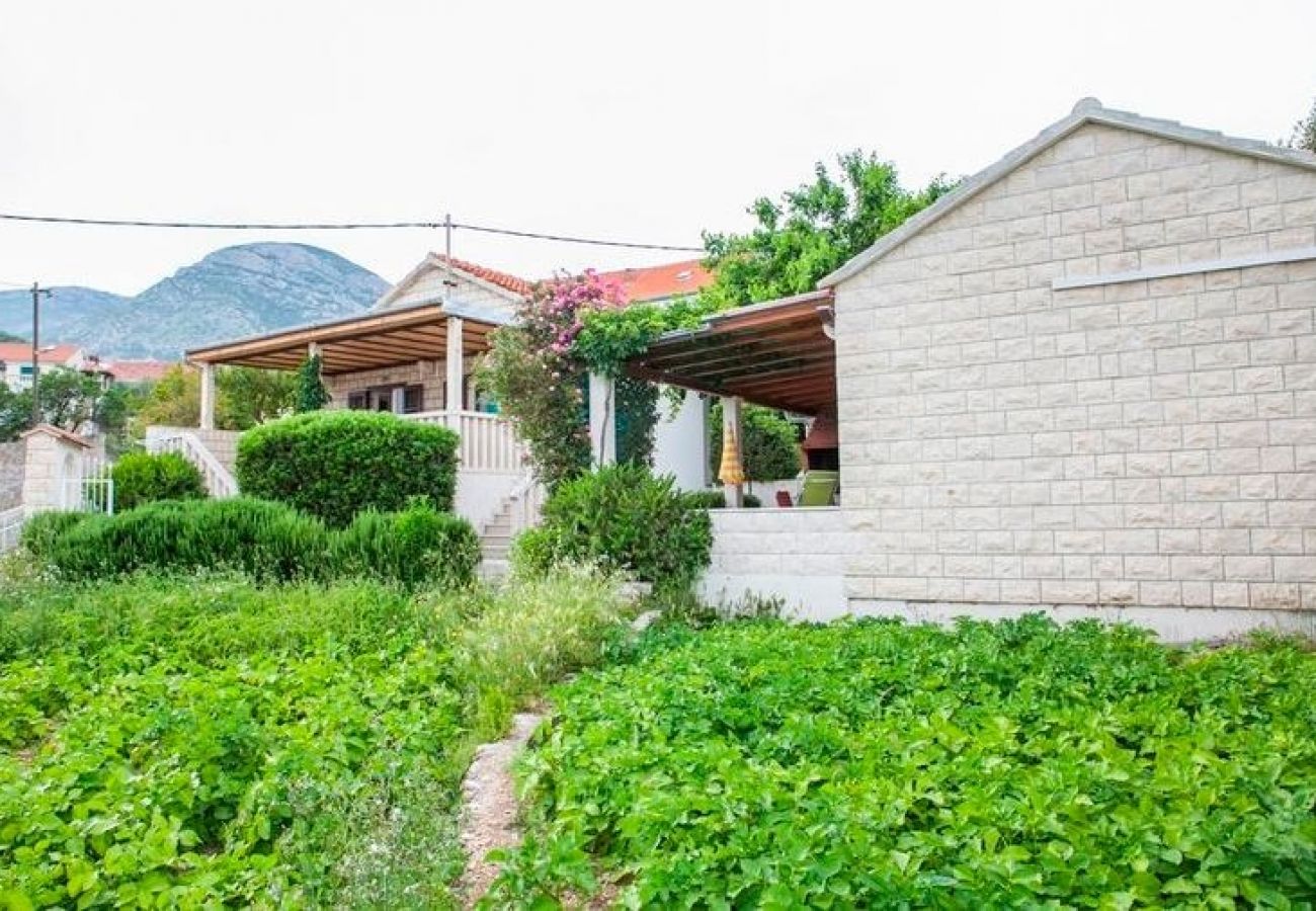 Ferienhaus in Bol - Ferienhaus in Bol mit Meerblick, Terrasse, Klimaanlage, W-LAN (3757-1)