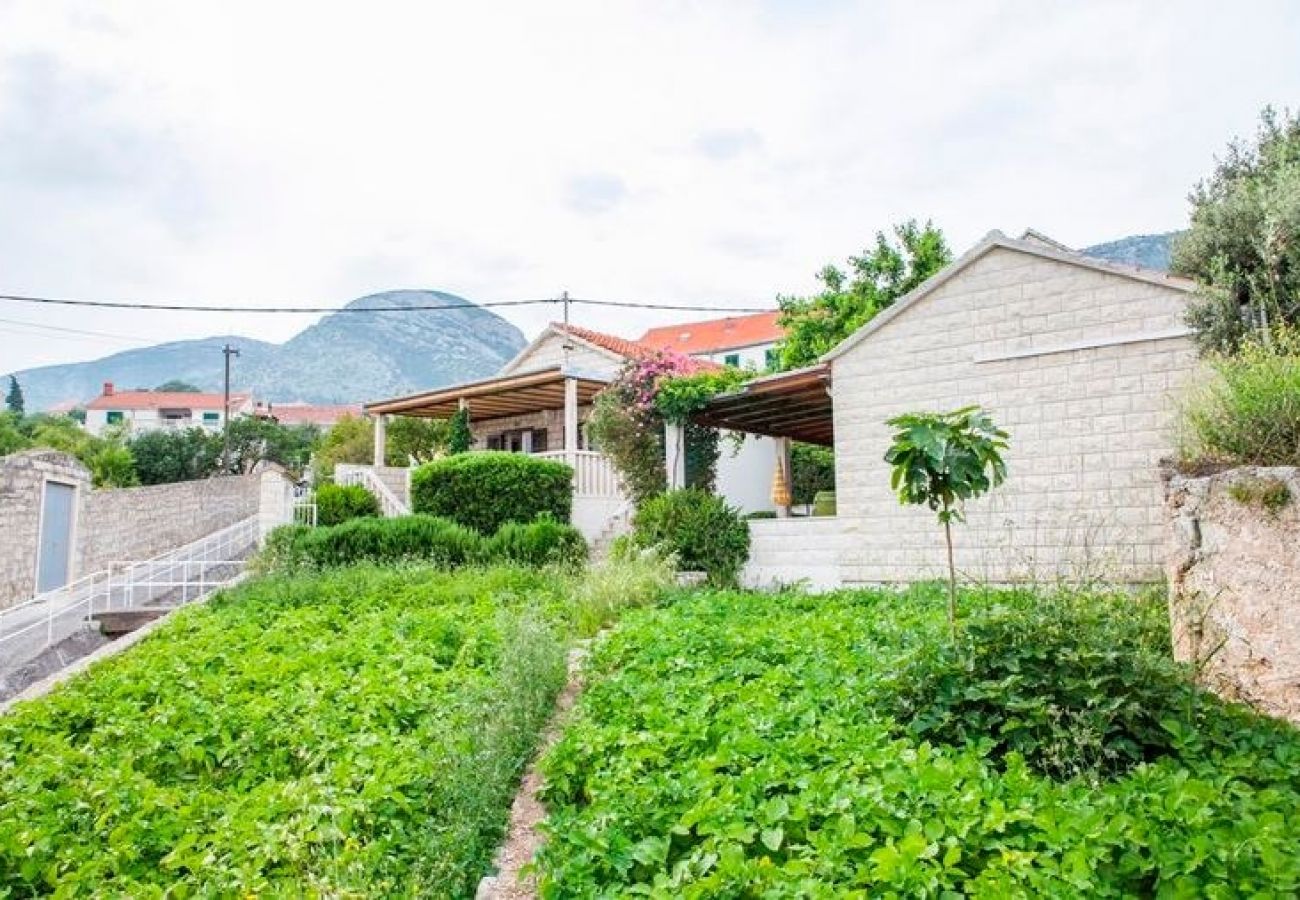 Ferienwohnung in Bol - Ferienwohnung in Bol mit Meerblick, Terrasse, Klimaanlage, W-LAN (3757-2)