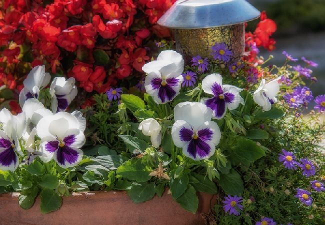 Zimmeranmietung in Bol - Zimmer in Bol mit Terrasse, Klimaanlage, W-LAN (3758-4) Zimmeranmietung in Bol - Zimmer in Bol mit Terrasse, Klimaanlage, W-LAN (3758-4)