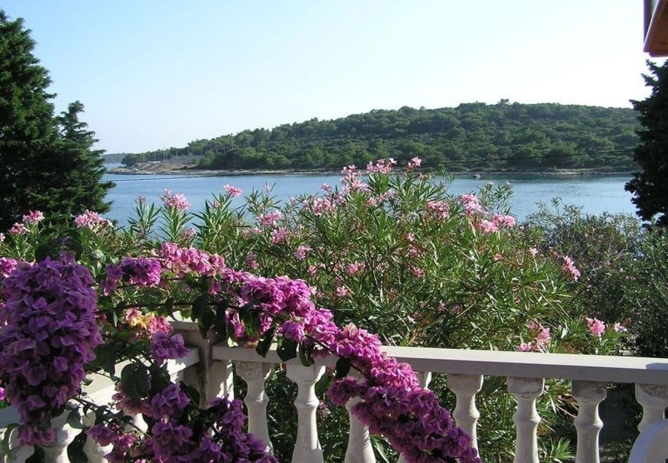 Ferienwohnung in Mali Lošinj - Ferienwohnung in Mali Lošinj mit Meerblick, Terrasse, Klimaanlage, W-LAN (3780-2)