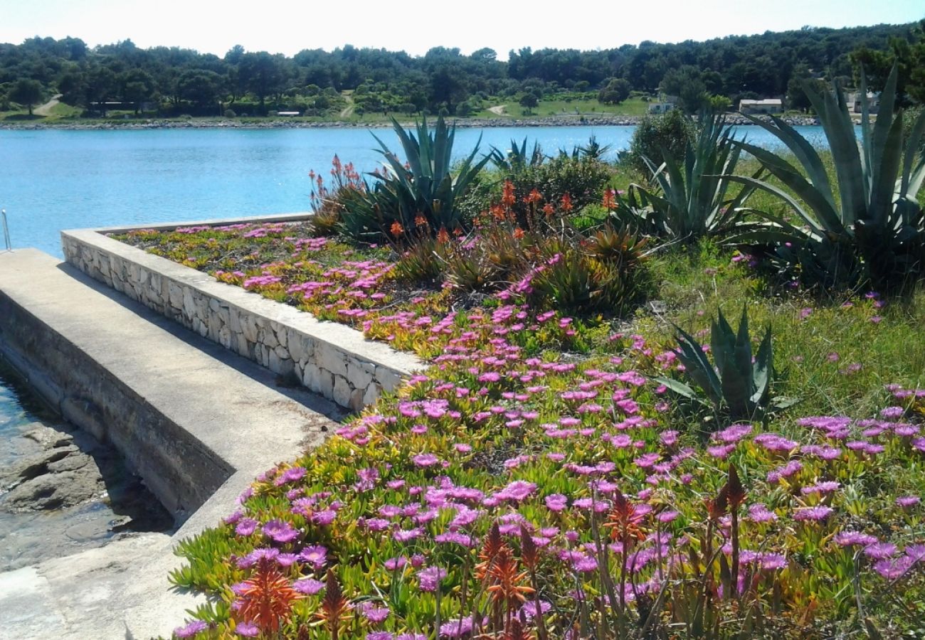 Ferienwohnung in Mali Lošinj - Ferienwohnung in Mali Lošinj mit Meerblick, Terrasse, Klimaanlage, W-LAN (3780-2)