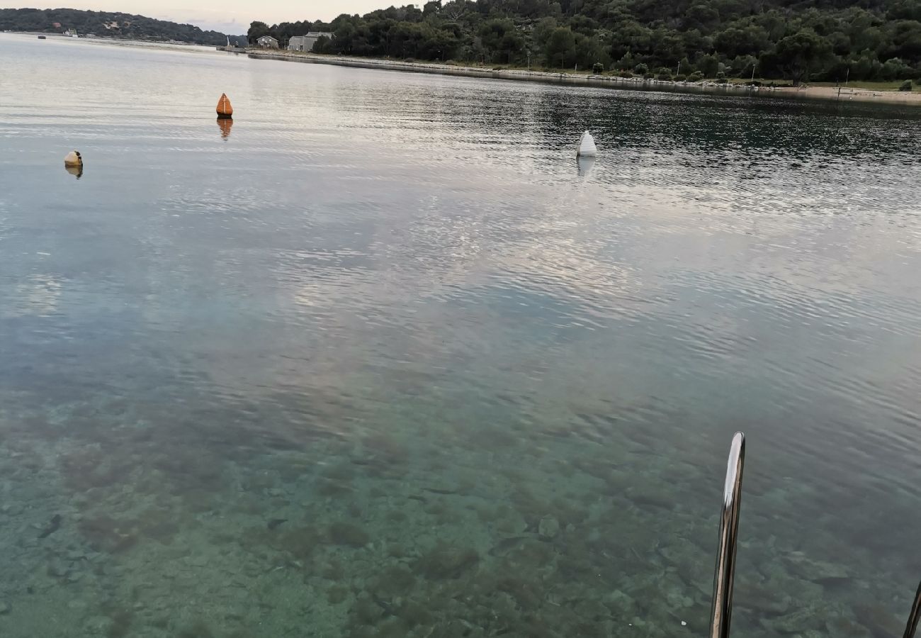 Ferienwohnung in Mali Lošinj - Ferienwohnung in Mali Lošinj mit Meerblick, Terrasse, Klimaanlage, W-LAN (3780-2)