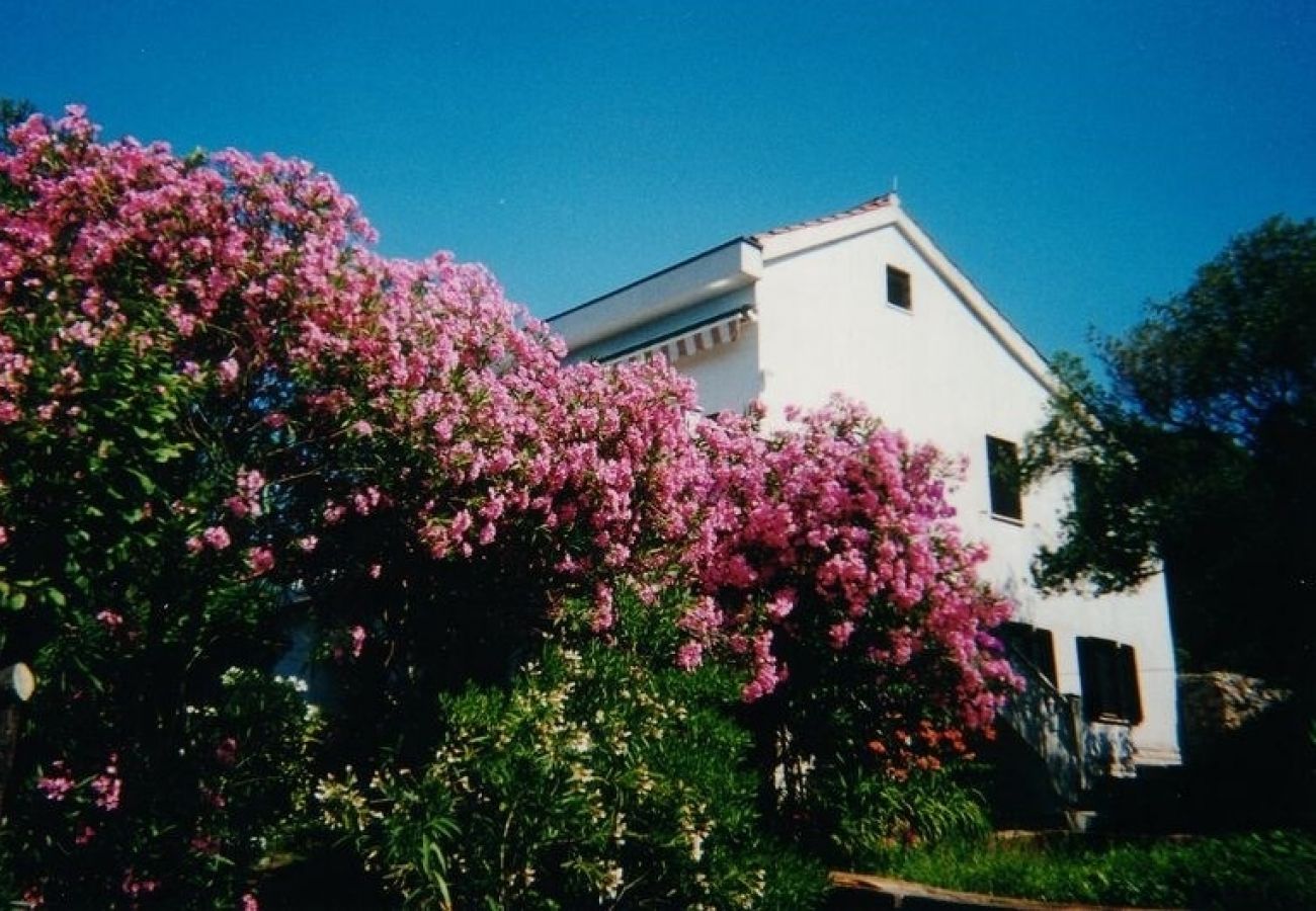 Ferienwohnung in Mali Lošinj - Ferienwohnung in Mali Lošinj mit Meerblick, Terrasse, Klimaanlage, W-LAN (3780-2)