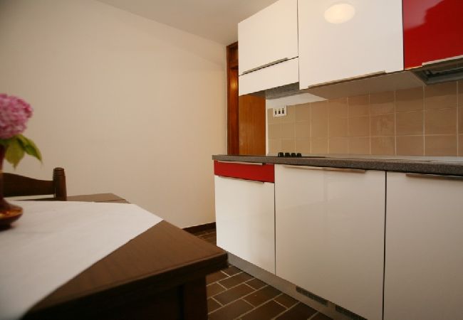 Studio in Porec - Studioapartment in Poreč mit Terrasse, W-LAN (3794-1) Studio in Porec - Studioapartment in Poreč mit Terrasse, W-LAN (3794-1)