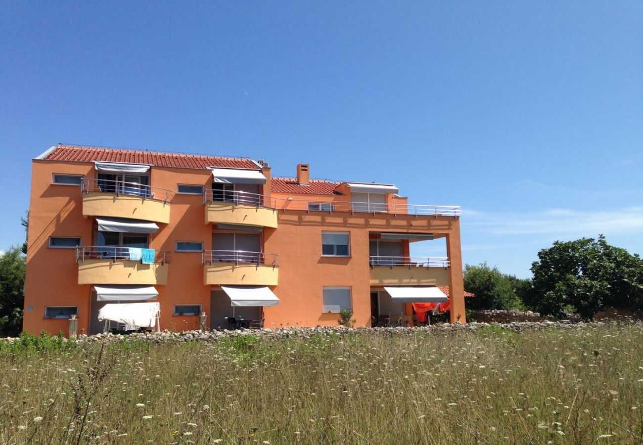 Ferienwohnung in Nin - Ferienwohnung in Zaton (Zadar) mit Meerblick, Balkon, Klimaanlage, W-LAN (3796-4)