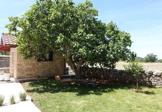 Studio in Nin - Studioapartment in Zaton (Zadar) mit Balkon, Klimaanlage, W-LAN, Waschmaschine (3796-6) Studio in Nin - Studioapartment in Zaton (Zadar) mit Balkon, Klimaanlage, W-LAN, Waschmaschine (3796-6)