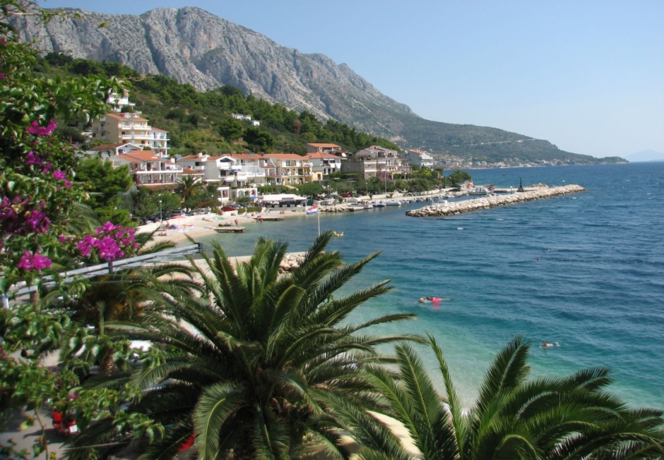 Ferienwohnung in Podgora - Ferienwohnung in Podgora mit Meerblick, Terrasse, Klimaanlage, W-LAN (3812-1)