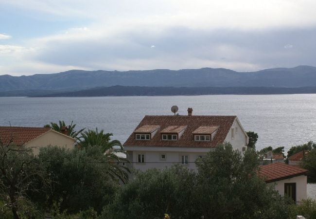 Ferienwohnung in Bol - Ferienwohnung in Bol mit Meerblick, Balkon, Klimaanlage, W-LAN (3831-1) Ferienwohnung in Bol - Ferienwohnung in Bol mit Meerblick, Balkon, Klimaanlage, W-LAN (3831-1)