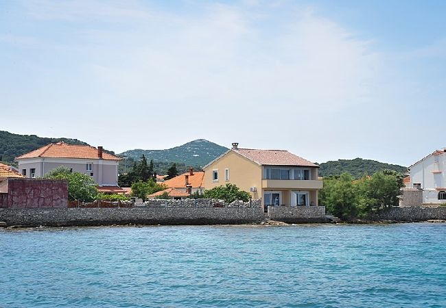 Ferienwohnung in Poljana - Ferienwohnung in Poljana mit Meerblick, Terrasse, Klimaanlage, W-LAN (3617-5) Ferienwohnung in Poljana - Ferienwohnung in Poljana mit Meerblick, Terrasse, Klimaanlage, W-LAN (3617-5)