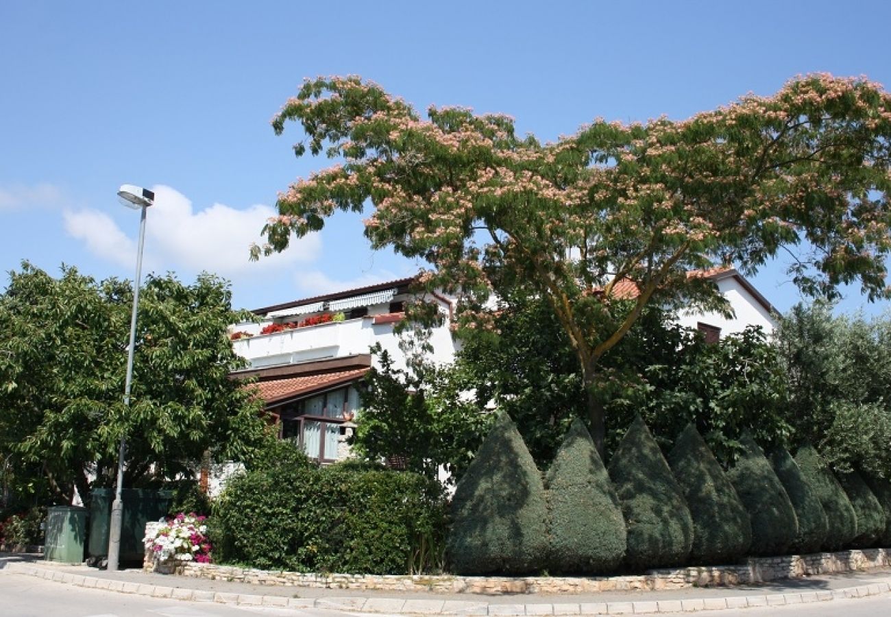 Ferienwohnung in Štinjan - Ferienwohnung in Štinjan mit Meerblick, Terrasse, Klimaanlage, W-LAN (3326-2)