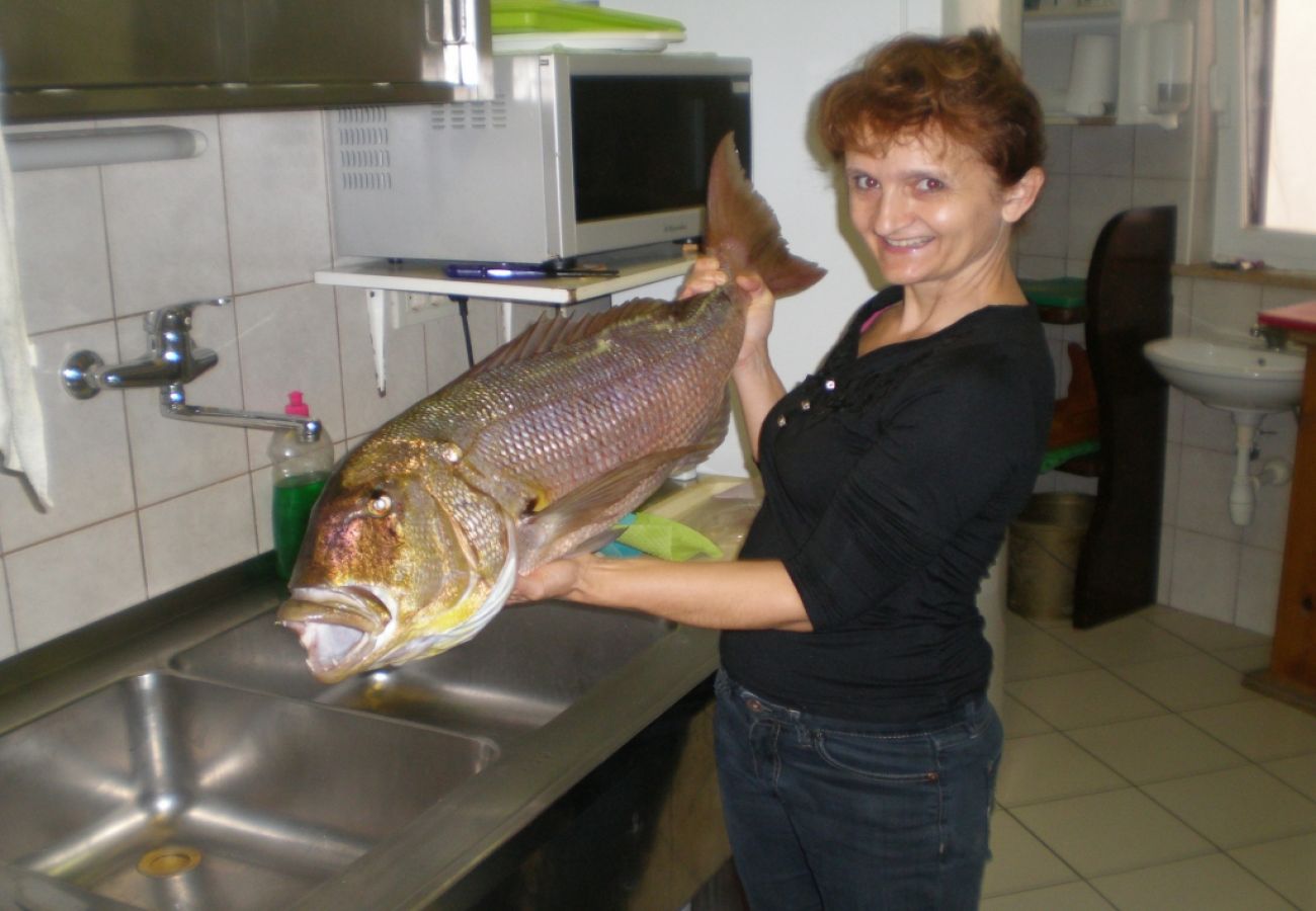 Ferienwohnung in Susak - Ferienwohnung in Susak mit Klimaanlage, W-LAN (3865-1)