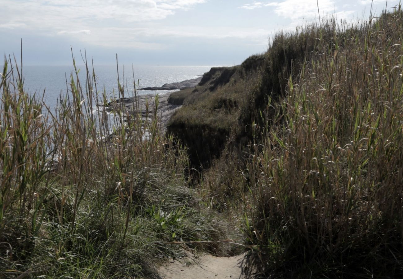 Zimmeranmietung in Susak - Zimmer in Susak mit Klimaanlage, W-LAN (3865-3)