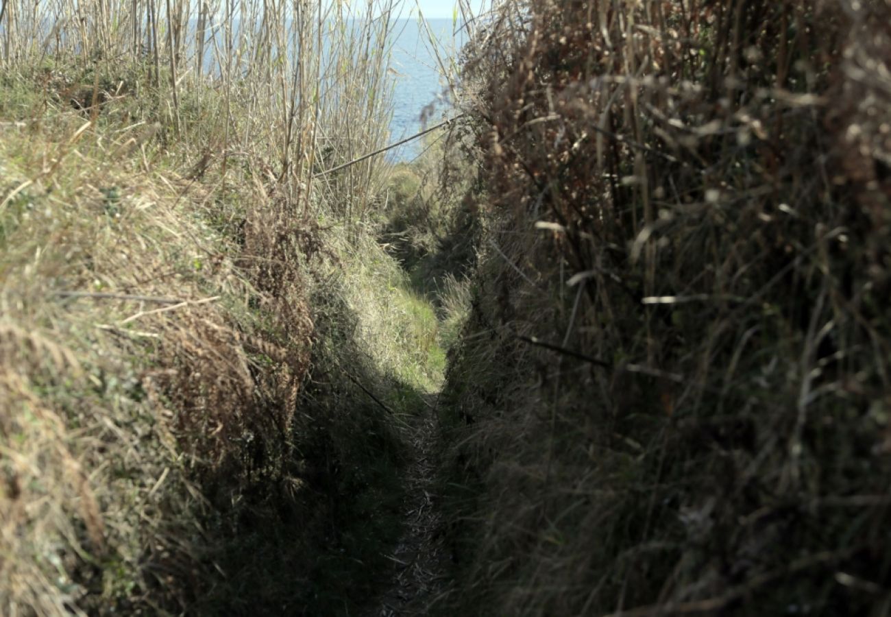 Zimmeranmietung in Susak - Zimmer in Susak mit Klimaanlage, W-LAN (3865-3)